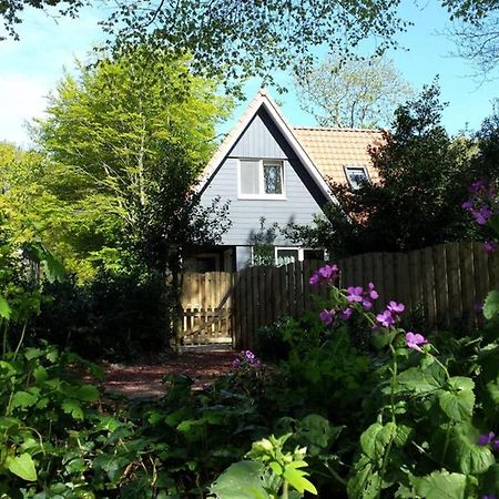 Vakantiehuisje Gaasterland Oudemirdum Friesland Nederland Exteriér fotografie