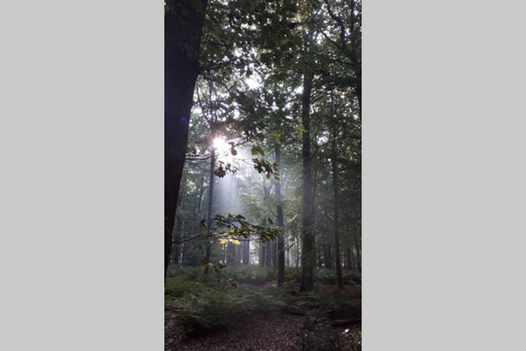 Vakantiehuisje Gaasterland Oudemirdum Friesland Nederland Exteriér fotografie